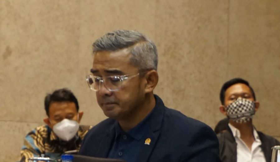 DPR Berperan Besar dalam Politik Luar Negeri RI